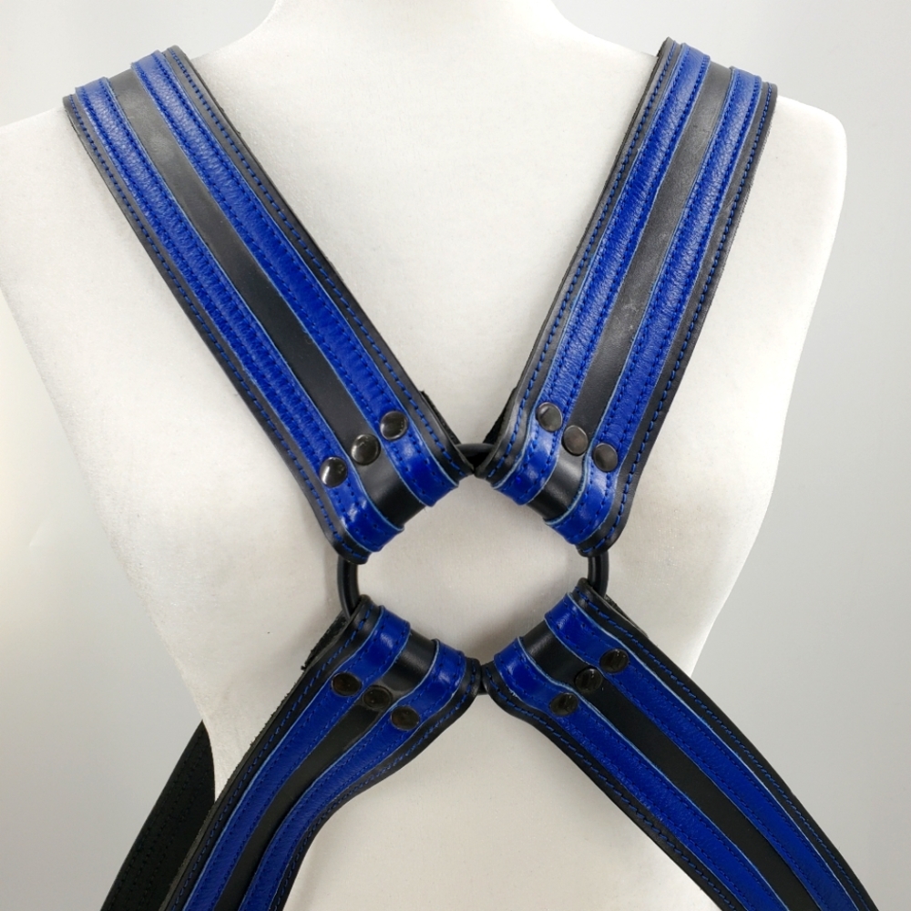 Blue and Black Men's Harness